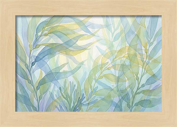 Kelp Forest Swaying