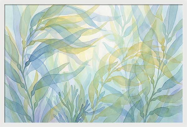 Kelp Forest Swaying