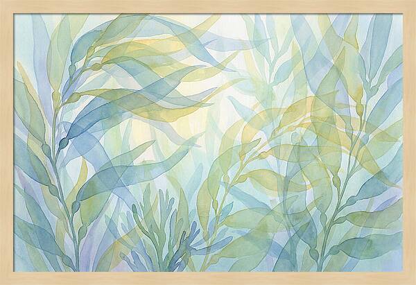 Kelp Forest Swaying