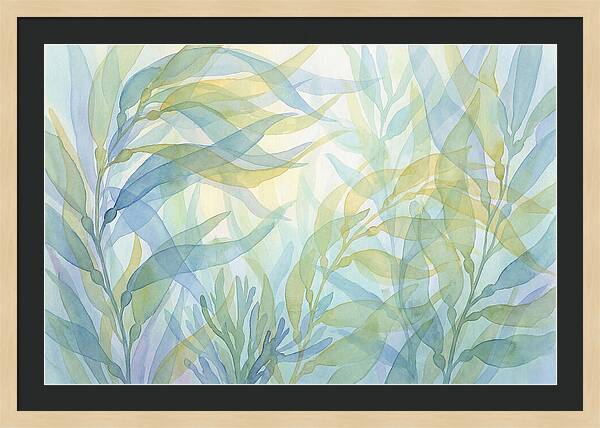 Kelp Forest Swaying