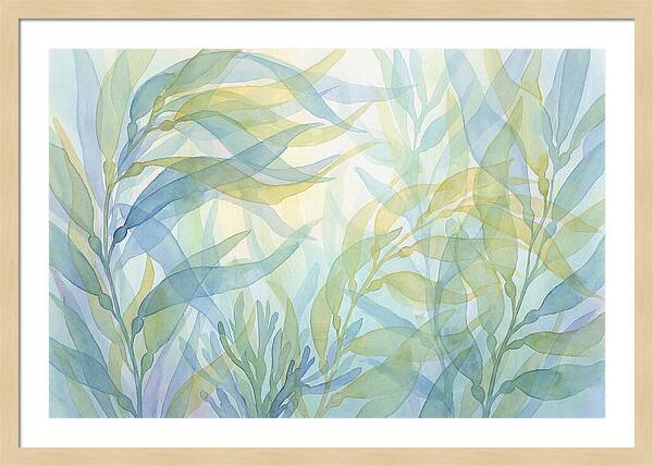 Kelp Forest Swaying
