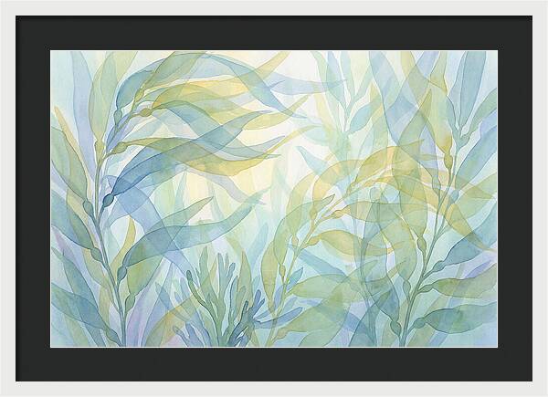 Kelp Forest Swaying