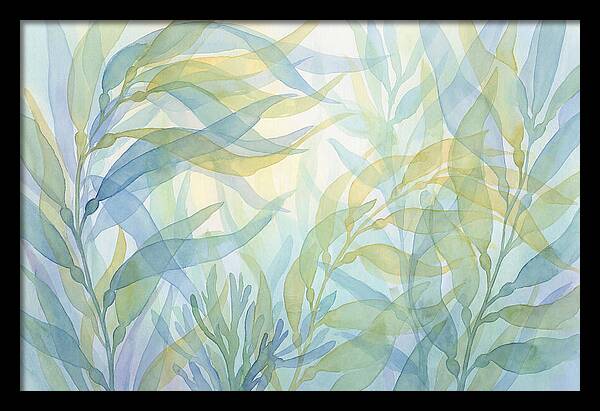 Kelp Forest Swaying