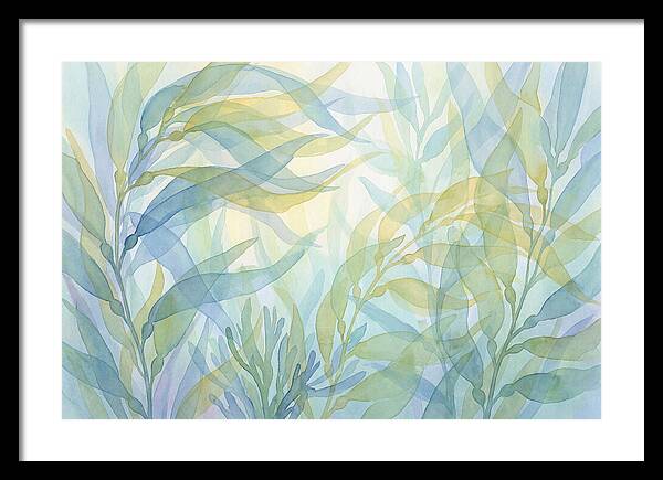 Kelp Forest Swaying