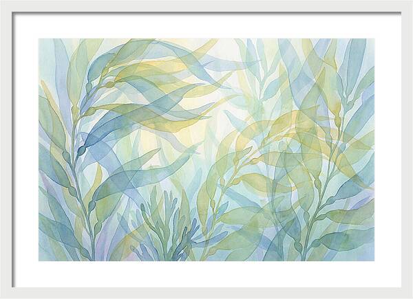 Kelp Forest Swaying