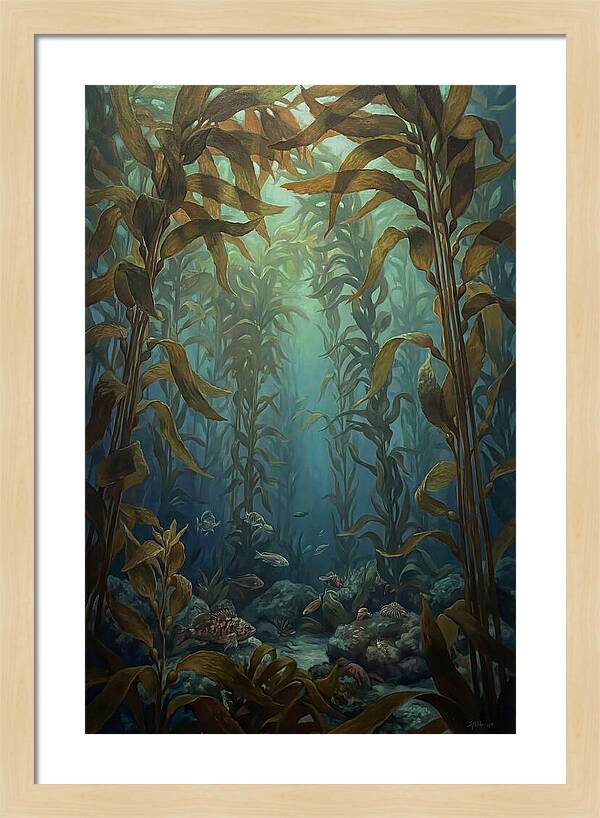 Kelp Forest Underwater Vista