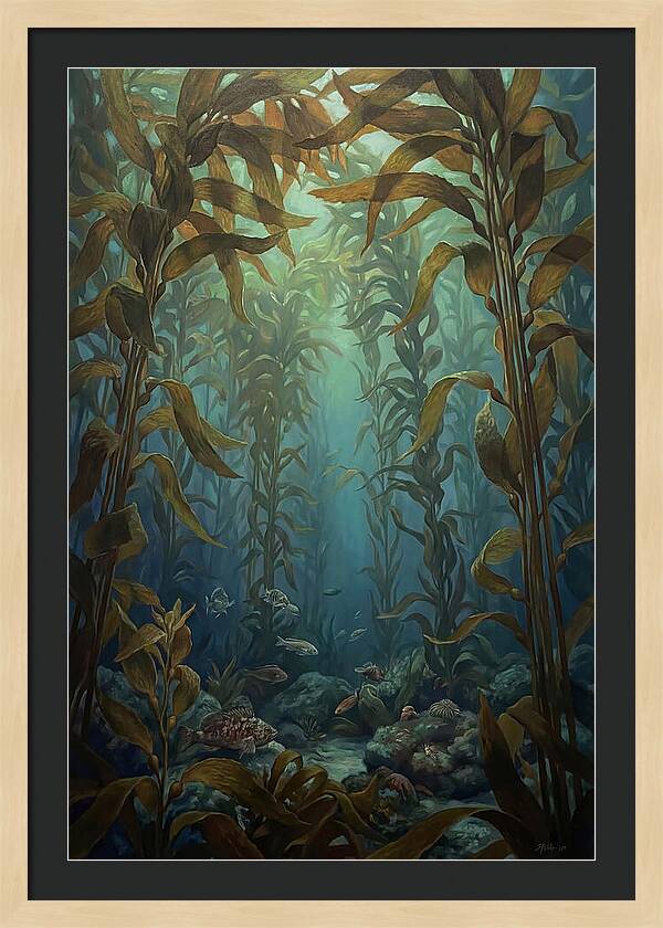 Kelp Forest Underwater Vista