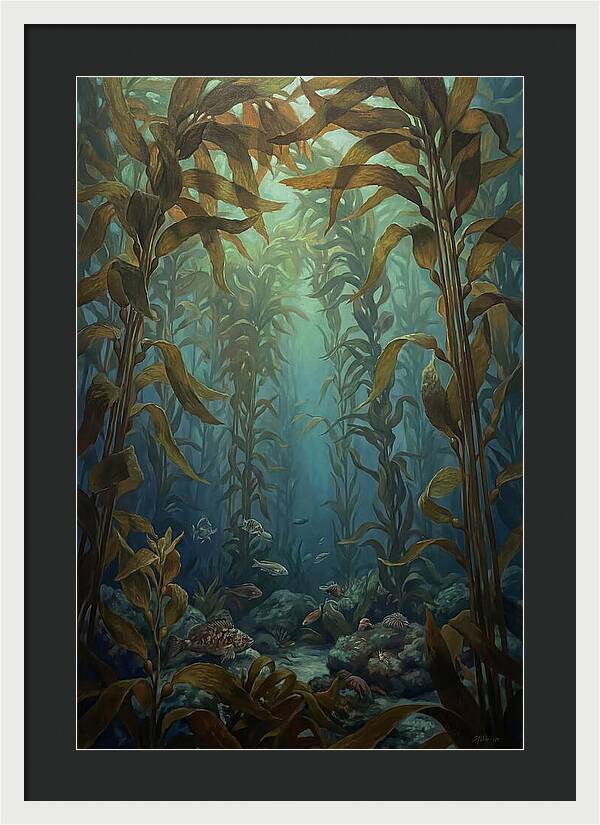 Kelp Forest Underwater Vista