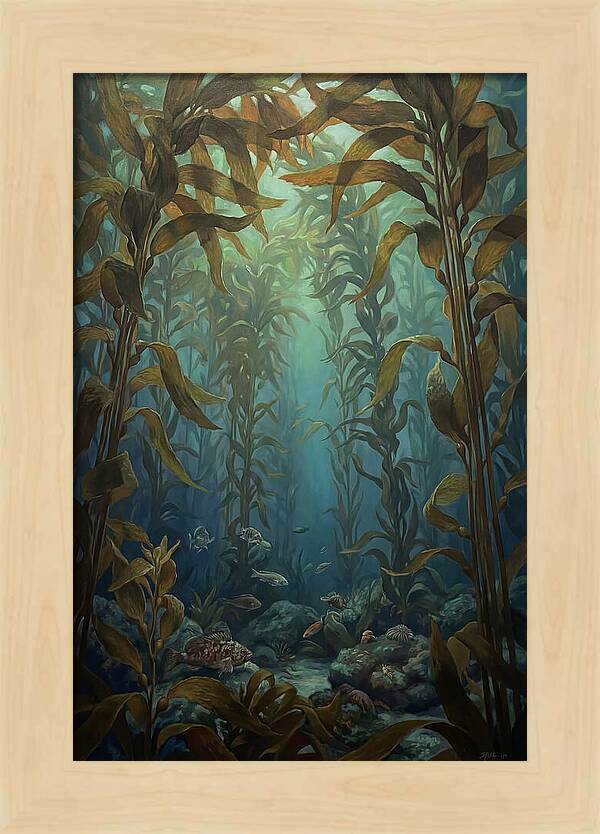 Kelp Forest Underwater Vista