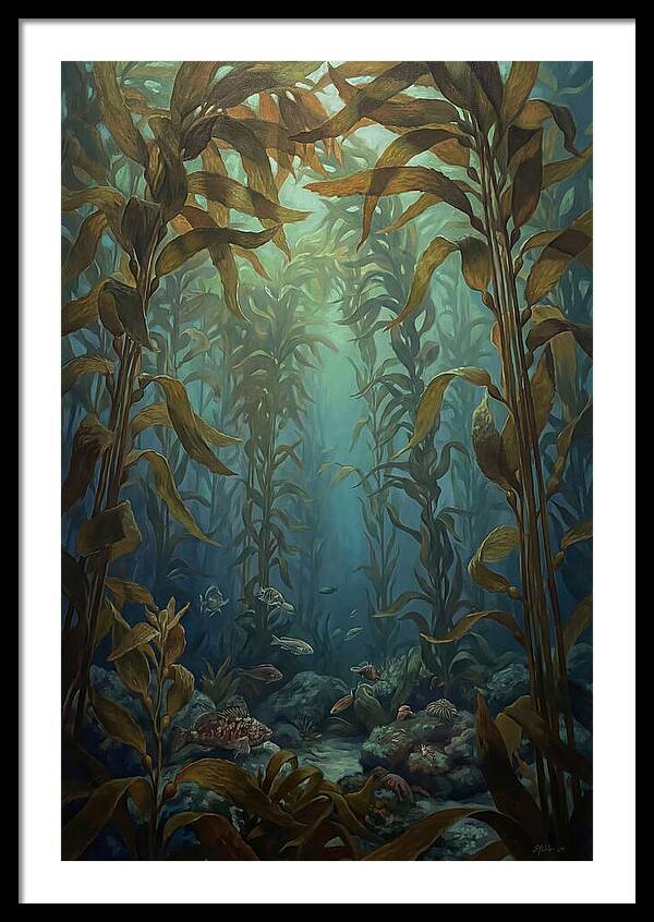 Kelp Forest Underwater Vista