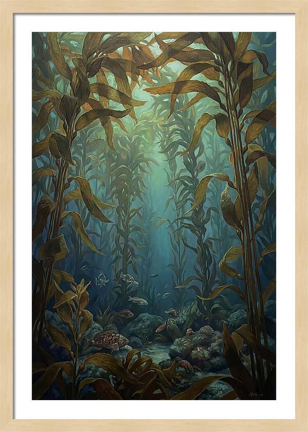 Kelp Forest Underwater Vista