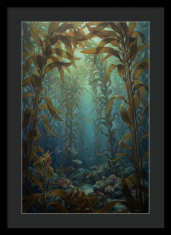 Kelp Forest Underwater Vista