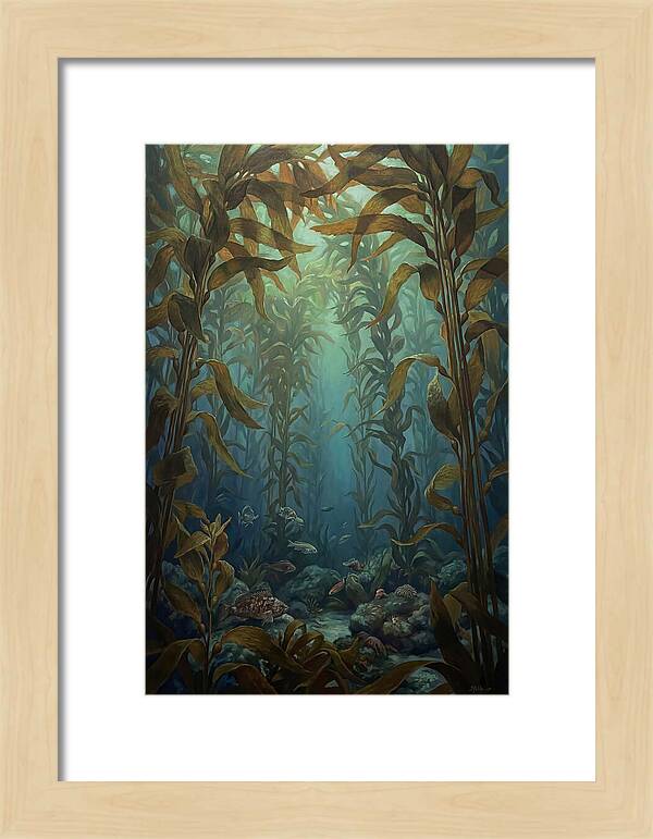 Kelp Forest Underwater Vista