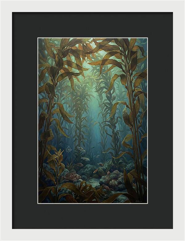 Kelp Forest Underwater Vista