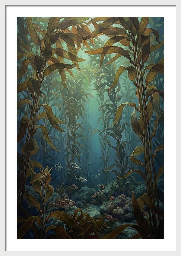 Kelp Forest Underwater Vista
