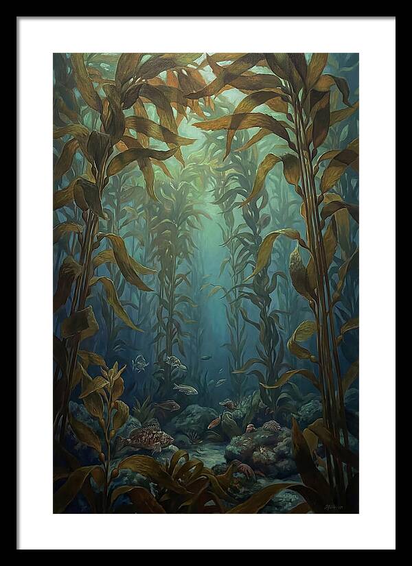 Kelp Forest Underwater Vista