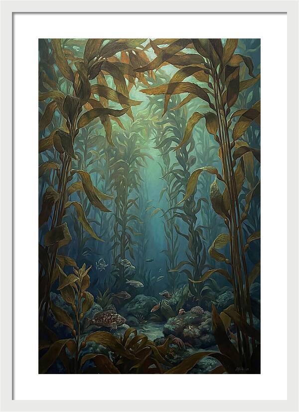 Kelp Forest Underwater Vista