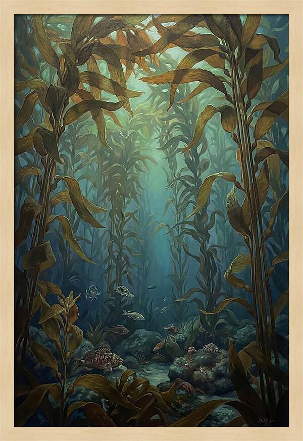 Kelp Forest Underwater Vista