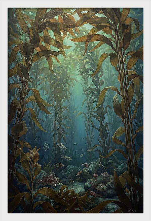 Kelp Forest Underwater Vista