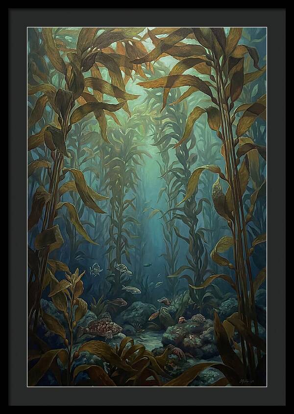 Kelp Forest Underwater Vista