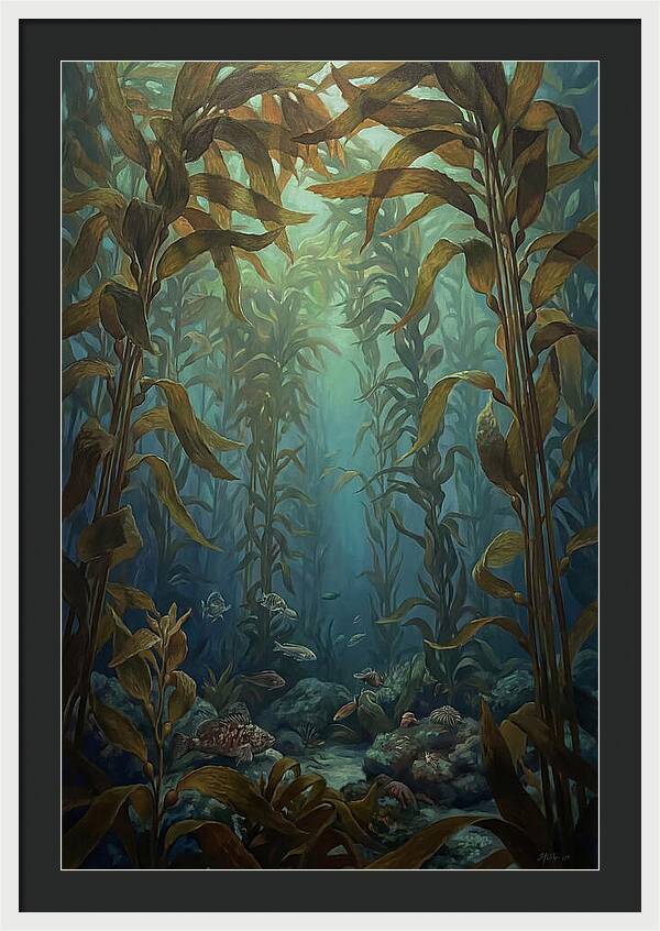 Kelp Forest Underwater Vista