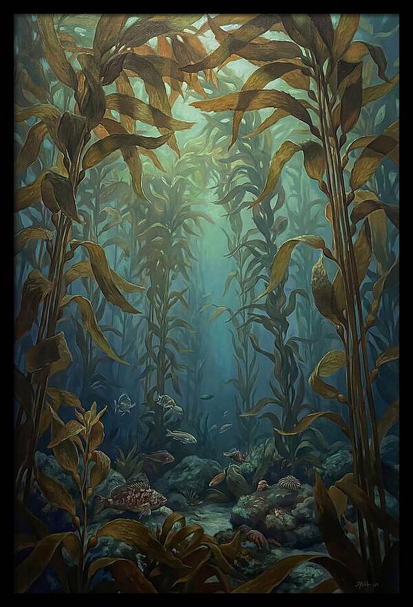 Kelp Forest Underwater Vista