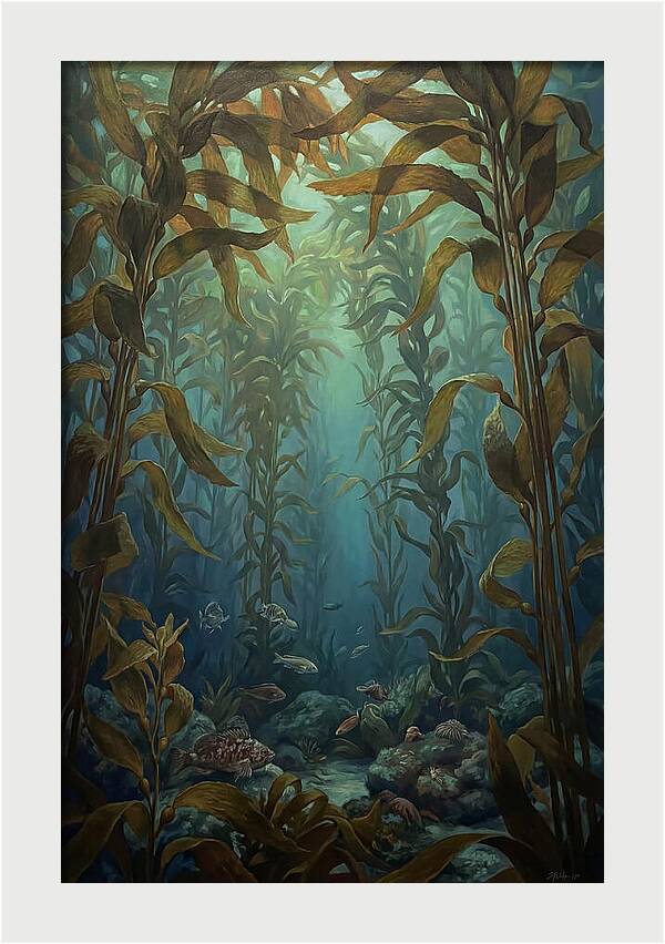 Kelp Forest Underwater Vista