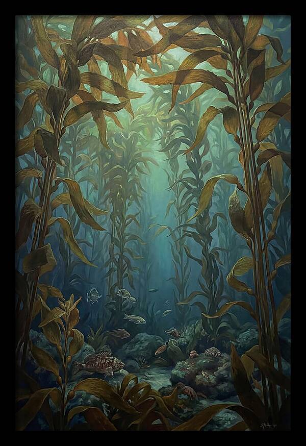 Kelp Forest Underwater Vista