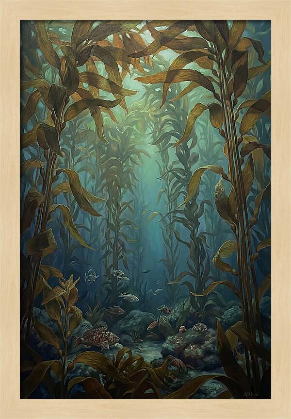 Kelp Forest Underwater Vista