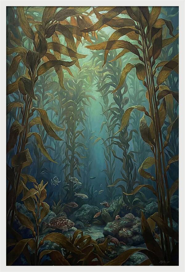 Kelp Forest Underwater Vista