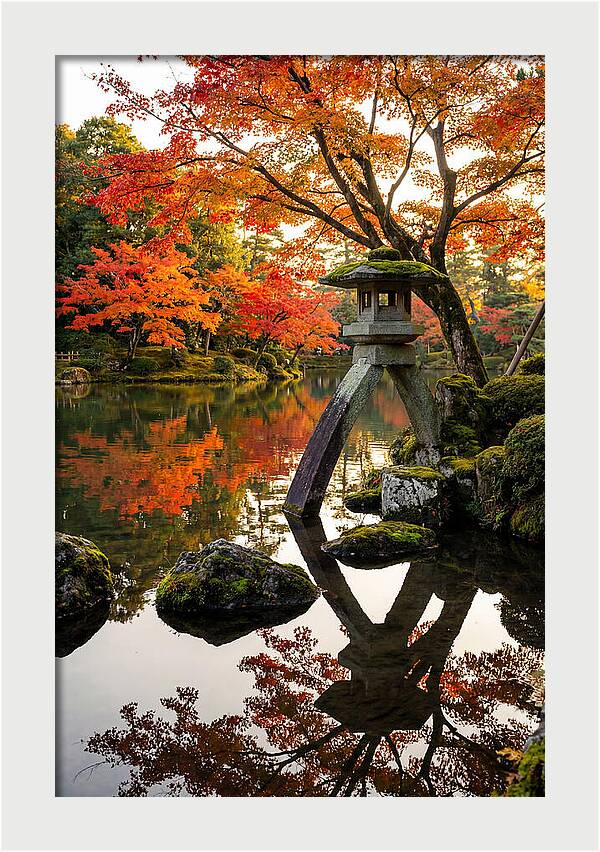 Kenrokuen Garden In Autumn Splendor