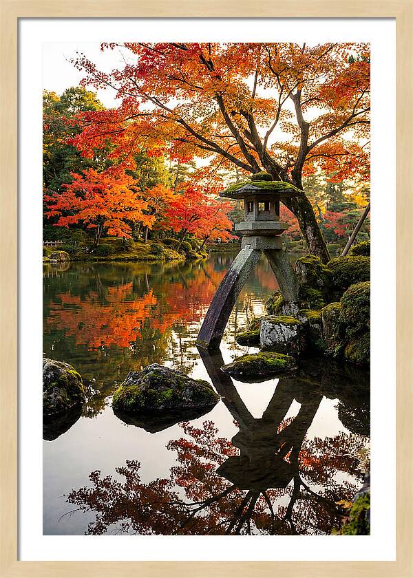 Kenrokuen Garden In Autumn Splendor