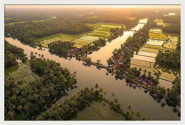 Kerala Backwaters Serenity