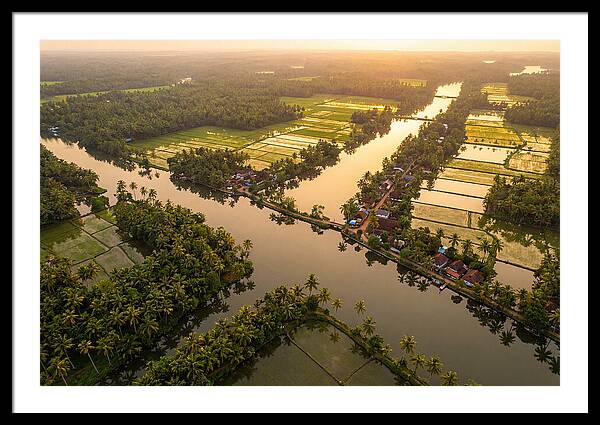 Rice Paddy Art