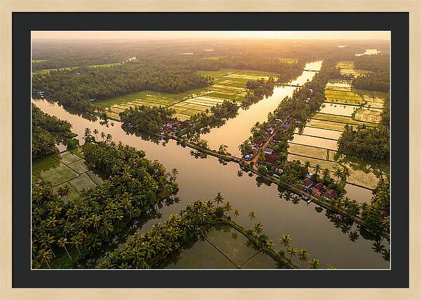 Kerala Backwaters Serenity