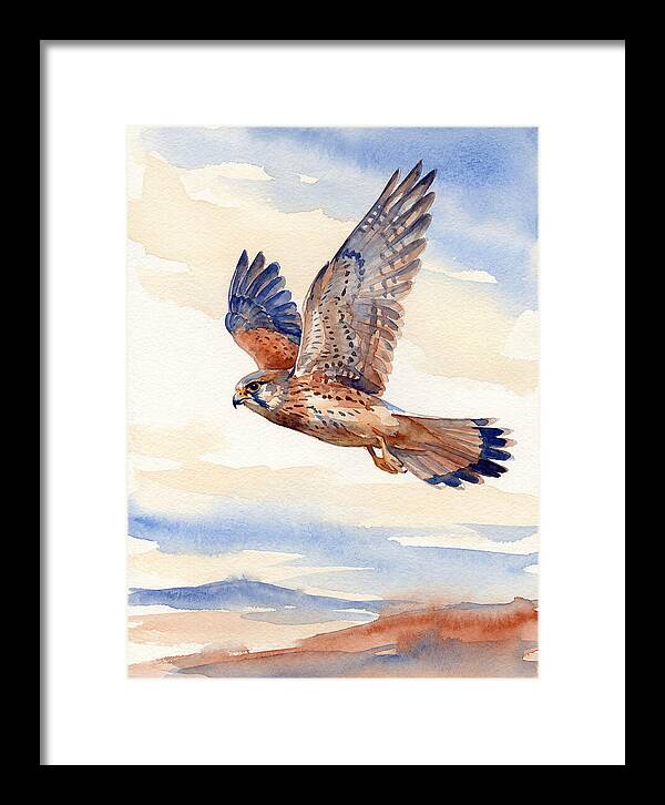Kestrel In Flight