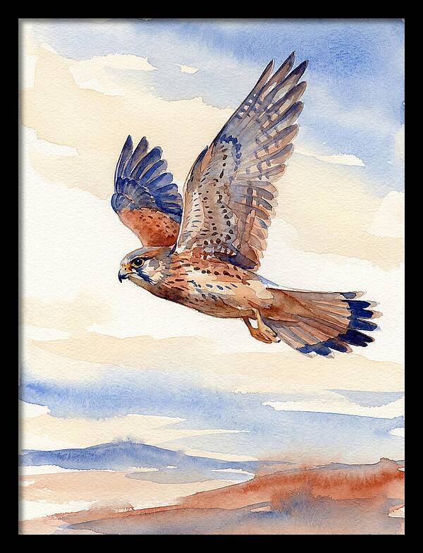 Kestrel In Flight