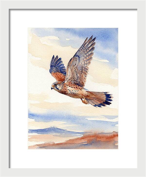 Kestrel In Flight