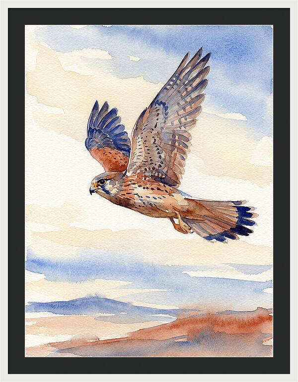 Kestrel In Flight
