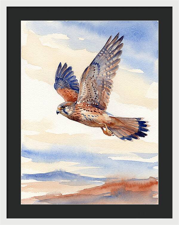 Kestrel In Flight