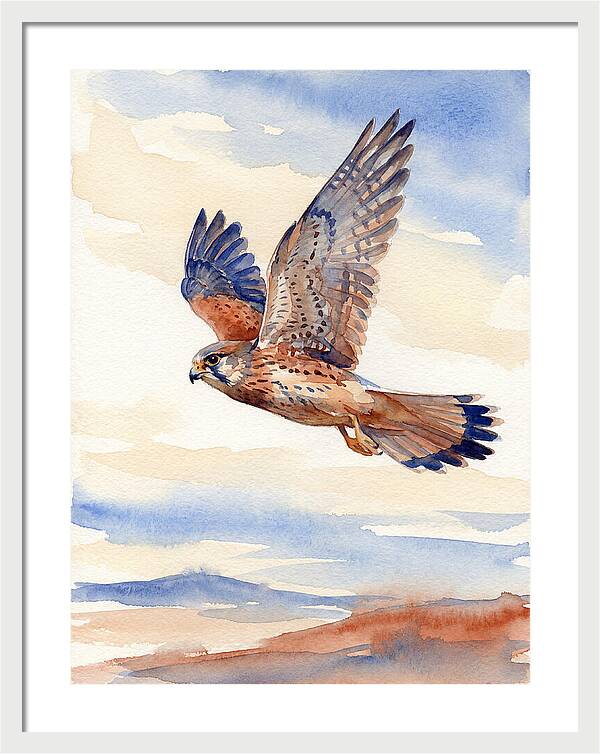 Kestrel In Flight