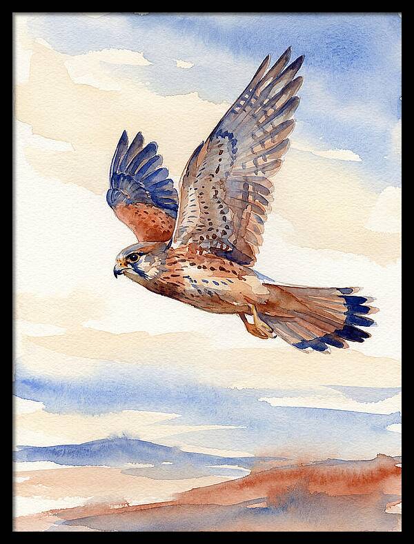Kestrel In Flight