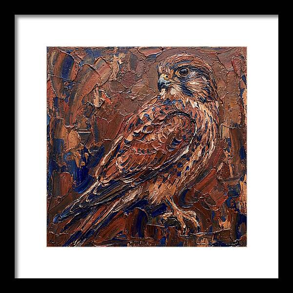 Kestrel In Rich Textures