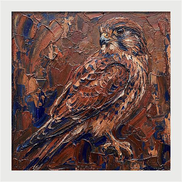Kestrel In Rich Textures
