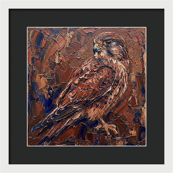 Kestrel In Rich Textures