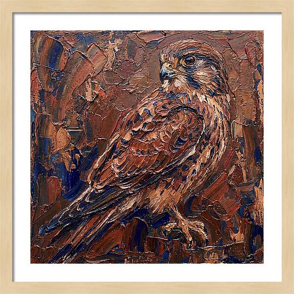 Kestrel In Rich Textures