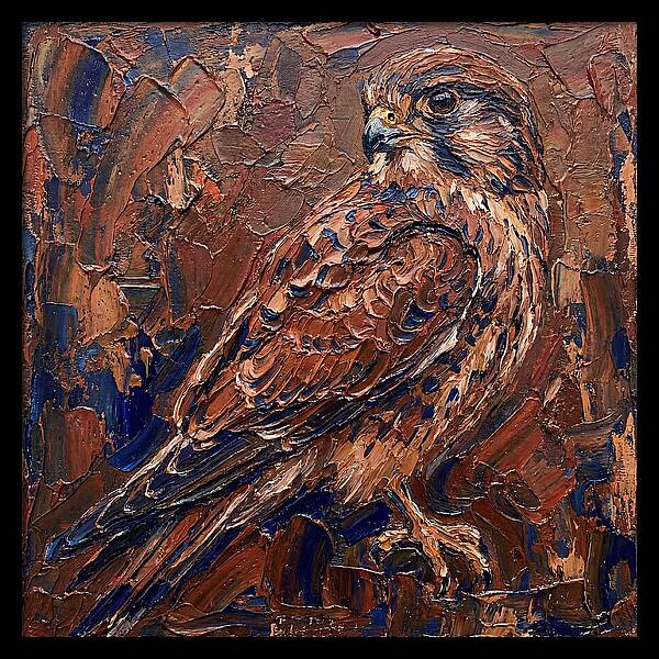 Kestrel In Rich Textures