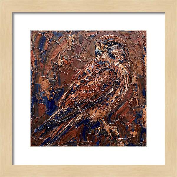 Kestrel In Rich Textures