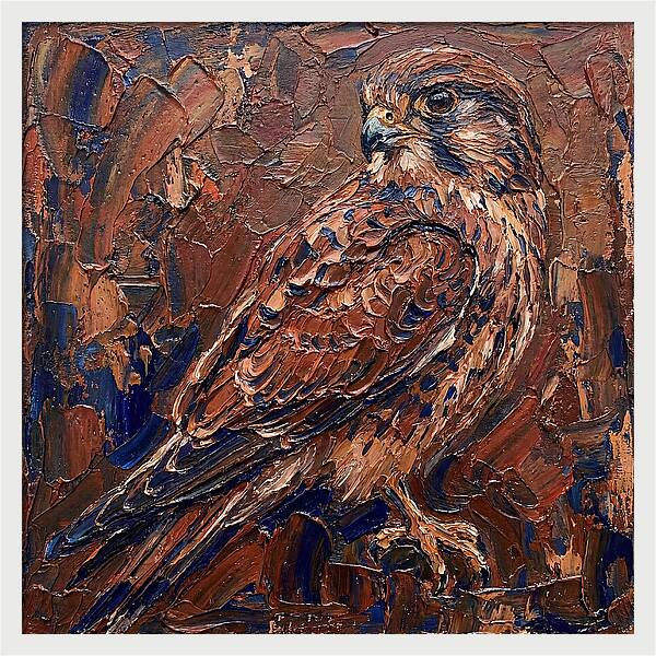 Kestrel In Rich Textures