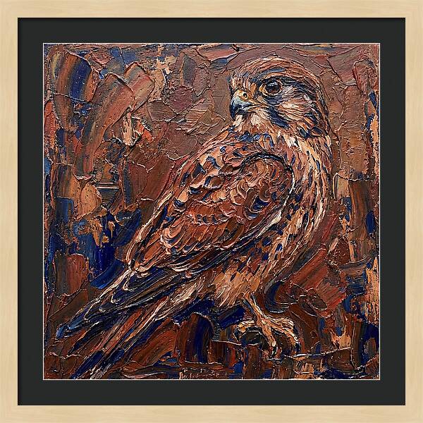 Kestrel In Rich Textures